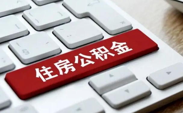 公积金每个月能取多少钱-禹城公积金代办平台